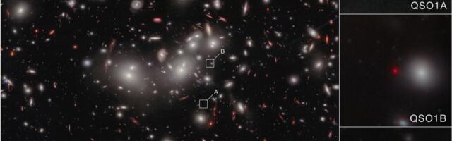 "Little red dot" in early Universe is a naked supermassive black hole