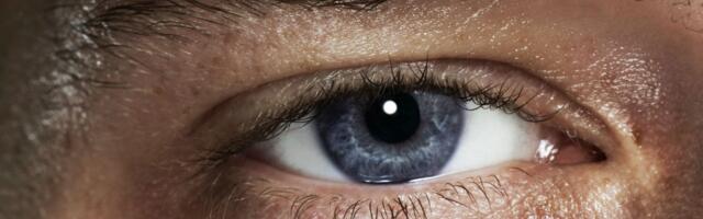 How to Use Your Smartphone to Counteract Vision Loss (2024): iPhone, Android, Apps