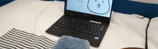 Japanese firm demos tech that makes any object a capacitive touch surface — stuffed cat on display, works with wood, ceramic, and plasterboard, too