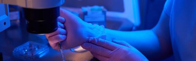 Scientists Think They’ve Cracked One of IVF’s Biggest Problems