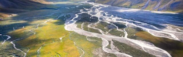 After All That Hype, Trump’s Arctic Oil Lease Sale Raised a Laughable $3.7M