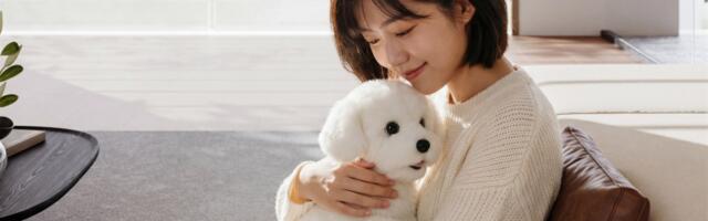 AI moves into the real world as companion robots and pets