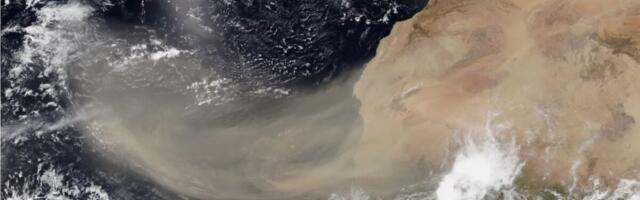 Saharan Dust Is Blowing Into the US. Here’s What It Means for Holiday Weekend Weather