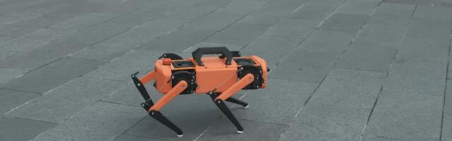 Meet Dingo, The Low-cost Open-source Robot Quadruped