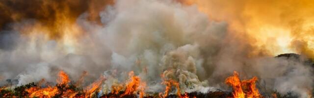 ESA satellites capture the extent of Europe’s wildfires
