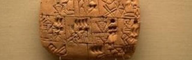 Как человечество подтверждало «это — моё»