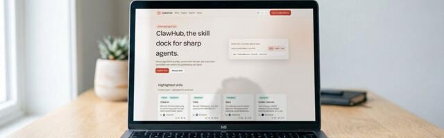 What are OpenClaw Skills? A detailed guide