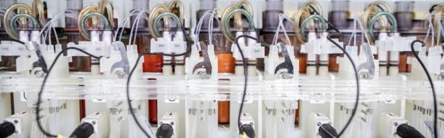 It’s time to close the gene synthesis loophole that could lead to a human-made pandemic