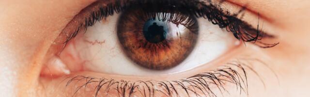 See Clearly: 10 Tips to Protect Your Eyes From Damage