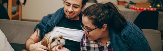 8 things dog owners do that cat owners find completely baffling — and psychologists say the difference reveals a genuine personality divide