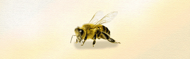 How to generate buzz in a buzzless industry