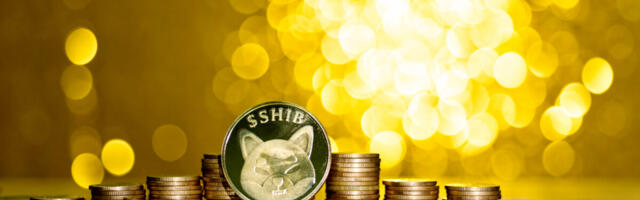 Shiba Inu Made Valid Payment Method Where Merchants Accept Bitpay