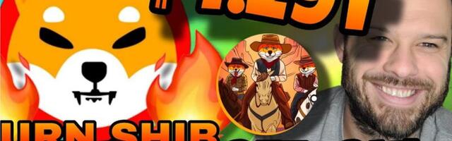 Shiba Inu’s Whale Activity Signals Potential Price Recovery – Will the Newest Meme Coin SHIBASHOOT Follow SHIB’s Success?