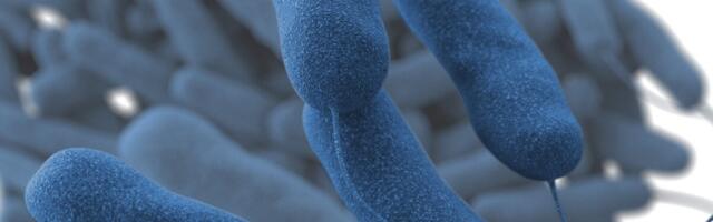 A Deadly Outbreak of Legionnaires’ Disease Is Hitting NYC