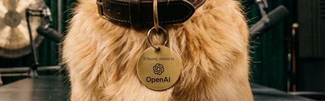 TBPN’s Lovable Underdog Era Ends