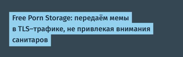 Free Porn Storage: передаём мемы в TLS-трафике, не привлекая внимания санитаров