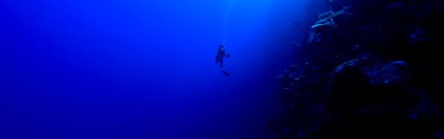 A Mysterious Donor Is Funding an Effort to Build a ‘Permanent Human Settlement’ Underwater