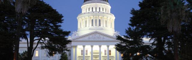 States take the lead in AI regulation as federal government steers clear
