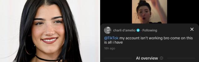 TikTok pulls back on an AI feature that described Charli D'Amelio as a collection of blueberries