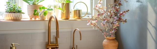 Stop Pouring Grease Down Your Drain. Your Wallet Will Thank You