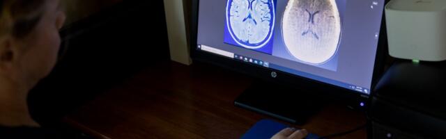 Our understanding of memory is all wrong