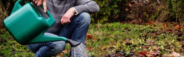 I never expected to sell pencils. The brand I've built has grown into a $1.7 million sustainability business.