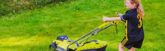 Ryobi Vs DeWalt Lawn Mower: The Pros & Cons Of Each