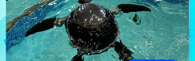 The Weirdest Gadgets We Saw at CES 2026