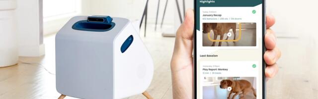 Robot Promises Taking Care Of Your Dog And Providing Playtime For $49 A Month