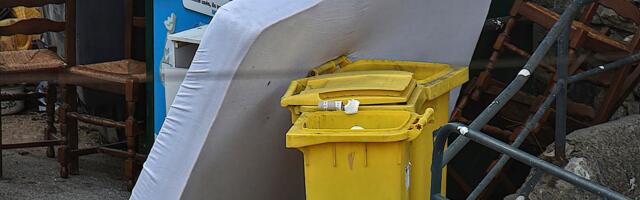 It’s not just Paris. There’s a “global resurgence” of bedbugs.