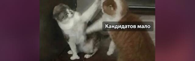 Синхронизация ожиданий: как мы унифицировали процесс IT-найма во Flowwow