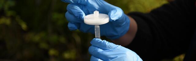 Podcast: Why Nestlé cares about a European biodiversity startup