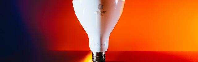 Best LED Light Bulb for Every Room in Your House in 2024