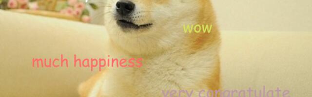 Dogecoin Pup’s IP Owner Bags Rights to Neiro, Putting Namesake Memes in Focus