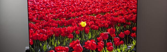 'A premium World Cup experience': these are the 3 OLED TVs I'd recommend if you're looking for the best way to watch the World Cup — I've tested and compared them all to the competition personally