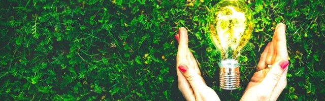 Sustainability is a minefield for SMEs – 5 steps to where to begin