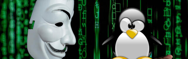 Arch Linux continues to feel the force of a DDoS attack after two brutal weeks — attackers yet to be identified as project struggles to restore full service