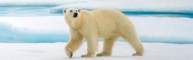 Дайджест новостей о Земле и экологии за прошедшую неделю, о которых мы не писали