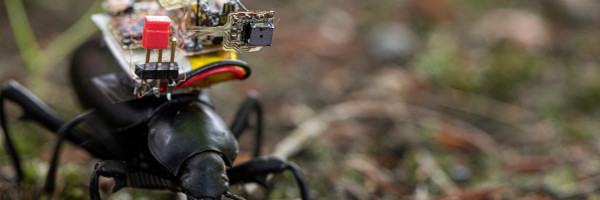 R&D Roundup: Supercomputer COVID-19 insights, ionic spiderwebs, the whiteness of AI