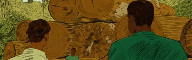 Indigenous activists are risking their lives for butterflies