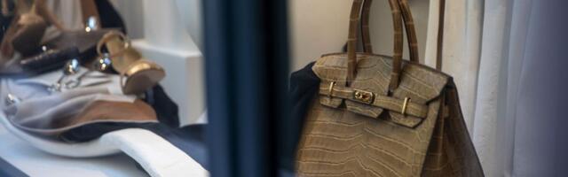 Hermes makes Birkin Bags to hard to buy, California shoppers claim in suit
