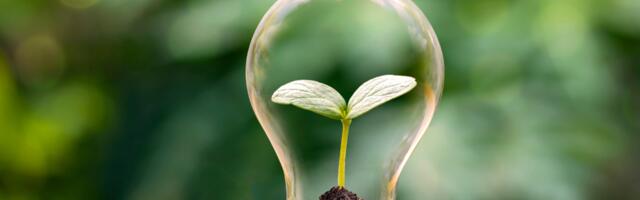 2022 SPUR Location Grants Program for innovators now open