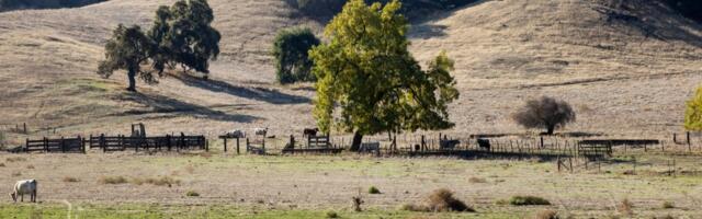 Will the first cemetery built in San Jose since the 1880s come to Coyote Valley?