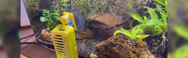 Feed your fish remotely with this Raspberry Pi-powered feeding system