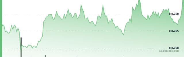 BONK Pushes Higher, Tests Resistance at $0.0000264