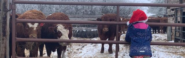 My family has lived on a farm for 15 years. This lifestyle isn't easy, but it's been great for my kids. My family has lived on a farm for 15 years. This lifestyle isn't easy, but it's been great for my kids.