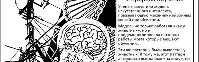 Видеть и лес, и деревья. Новая модель мозга, созданная на основе искусственного интеллекта, раскрывает природу обучения