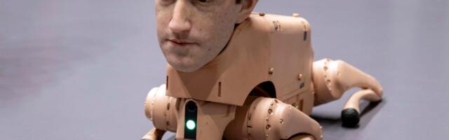 Surviving Meta's 'year of intensity'