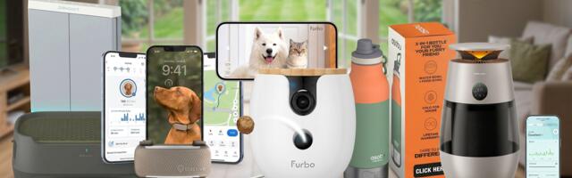 9 dog-care gadgets that are so clever they deserve a treat — including an ingenious on-the-go water solution and a 'canine FitBit'