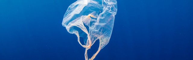 Next gen plastic startup Xampla raises £6m